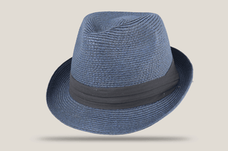 Eskay Style Master Trilby