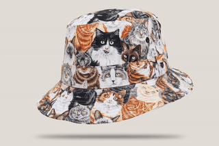 Cats and Dogs Traditional Bucket Hat
